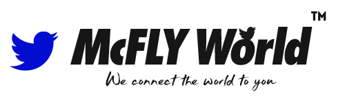 McFly Enterprise system
